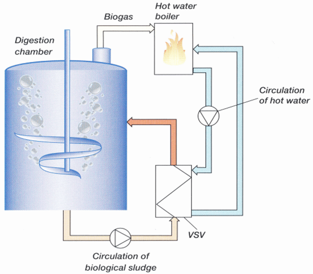 Sludge water heat exchanger in digester